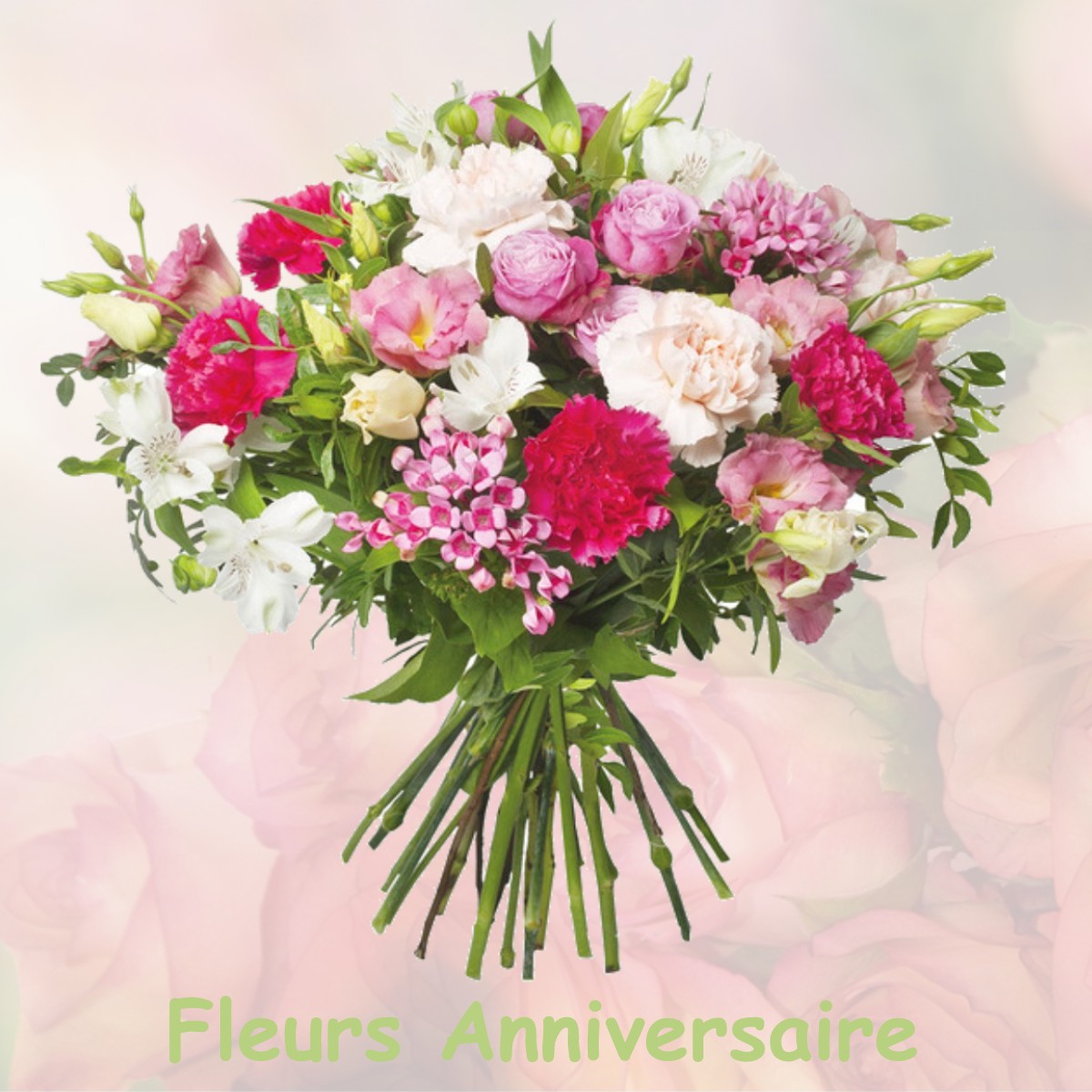 fleurs anniversaire MONTIGNY-LE-BRETONNEUX